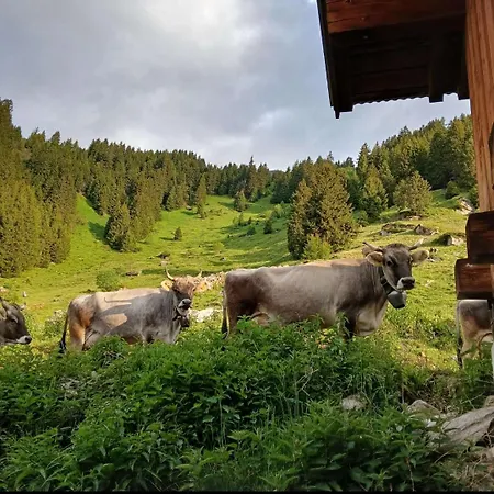 Apartment Wandegg Im Bergsteigerdorf Ginzling