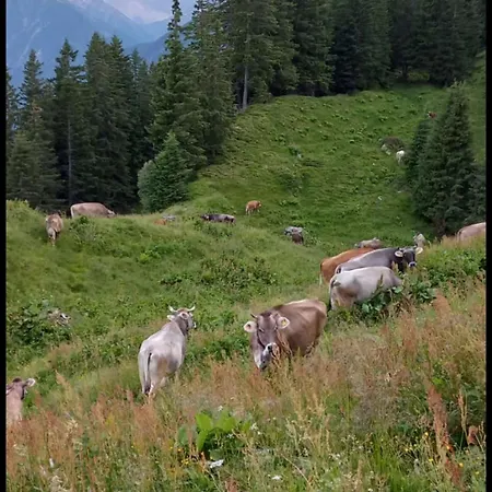 Lejlighed Wandegg Im Bergsteigerdorf Ginzling Mayrhofen